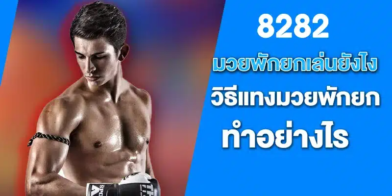 มวยพักยกเล่นยังไง วิธี แทงมวยพักยก ทำอย่างไร