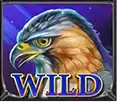 สัญลักษณ์พิเศษ Wild LadyHawk